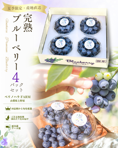 農園直送　甘い完熟ブルーベリー
